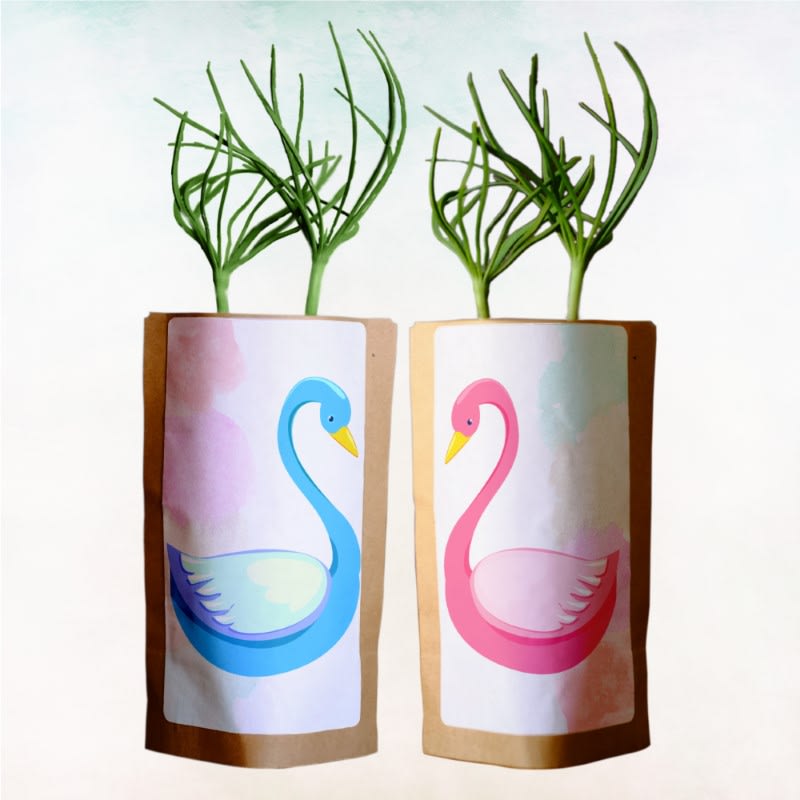 Outlaws x ForestNation - Gift Us a Forest – 200 Trees to Celebrate Our Love – “Swan Love”